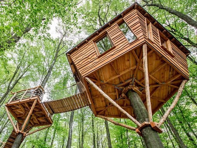 60 cabanes dans les arbres pour vivre vos rêves d'enfance 55