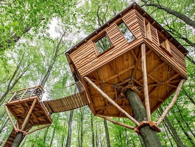 60 cabanes dans les arbres pour vivre vos rêves d'enfance 55 60 cabanes dans les arbres pour vivre vos rêves d'enfance 55