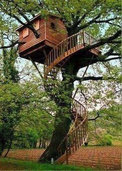60 cabanes dans les arbres pour vivre vos rêves d'enfance 56 60 cabanes dans les arbres pour vivre vos rêves d'enfance 56