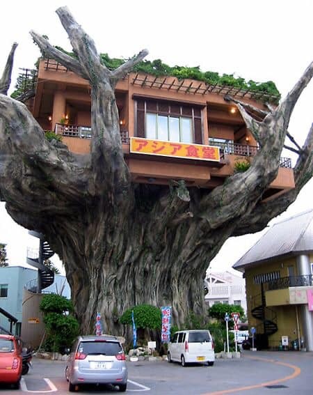 60 cabanes dans les arbres pour vivre vos rêves d'enfance 31