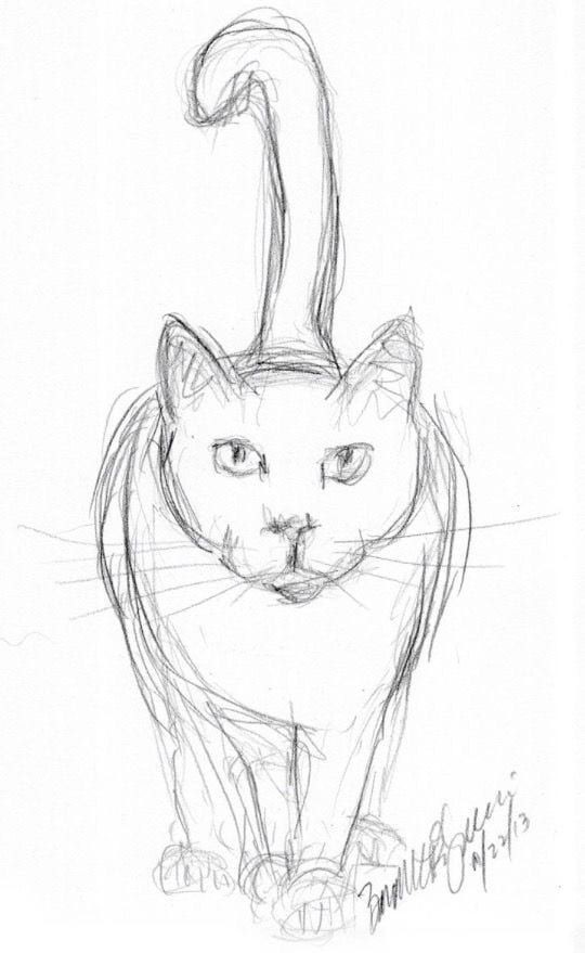 8 secrets pour apprendre à dessiner des chats une pro 15