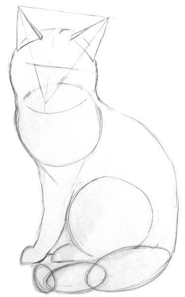 8 secrets pour apprendre à dessiner des chats une pro 17 8 secrets pour apprendre à dessiner des chats une pro 17