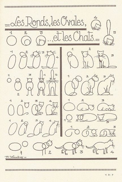 8 secrets pour apprendre à dessiner des chats une pro 25