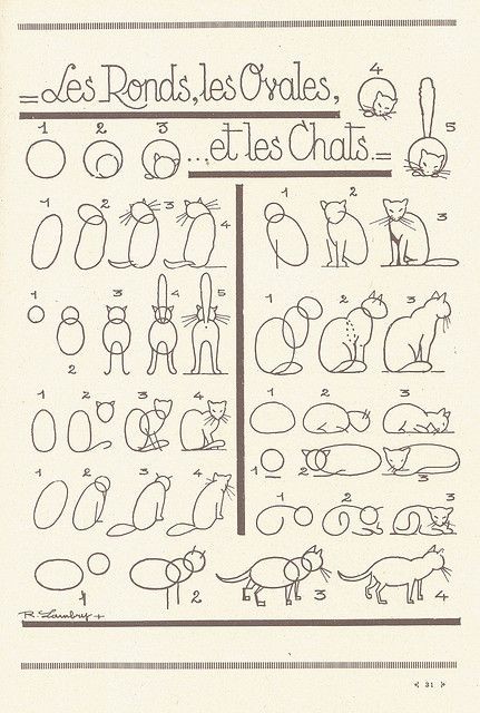 8 secrets pour apprendre à dessiner des chats une pro 25 8 secrets pour apprendre à dessiner des chats une pro 25