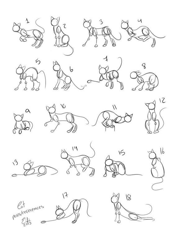 8 secrets pour apprendre à dessiner des chats une pro 27