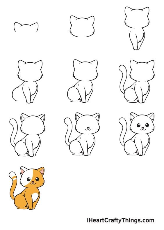 8 secrets pour apprendre à dessiner des chats une pro 36