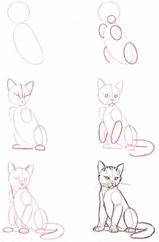 8 secrets pour apprendre à dessiner des chats une pro 37