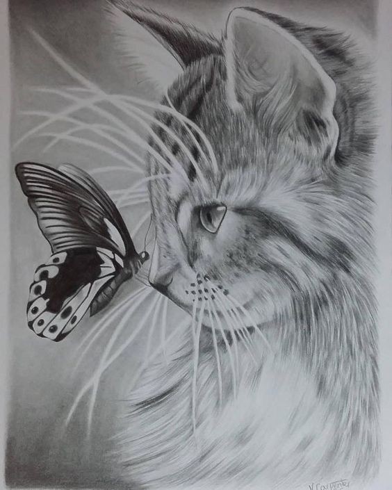 8 secrets pour apprendre à dessiner des chats une pro 40 8 secrets pour apprendre à dessiner des chats une pro 40