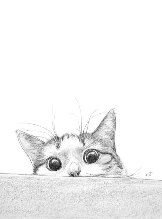 8 secrets pour apprendre à dessiner des chats une pro 44 8 secrets pour apprendre à dessiner des chats une pro 44