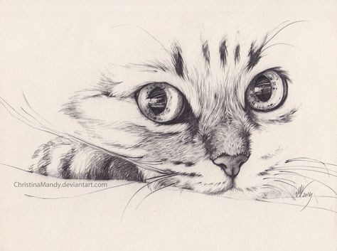 8 secrets pour apprendre à dessiner des chats une pro 49