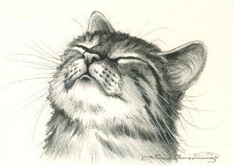8 secrets pour apprendre à dessiner des chats une pro 52