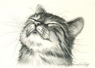 8 secrets pour apprendre à dessiner des chats une pro 52 8 secrets pour apprendre à dessiner des chats une pro 52