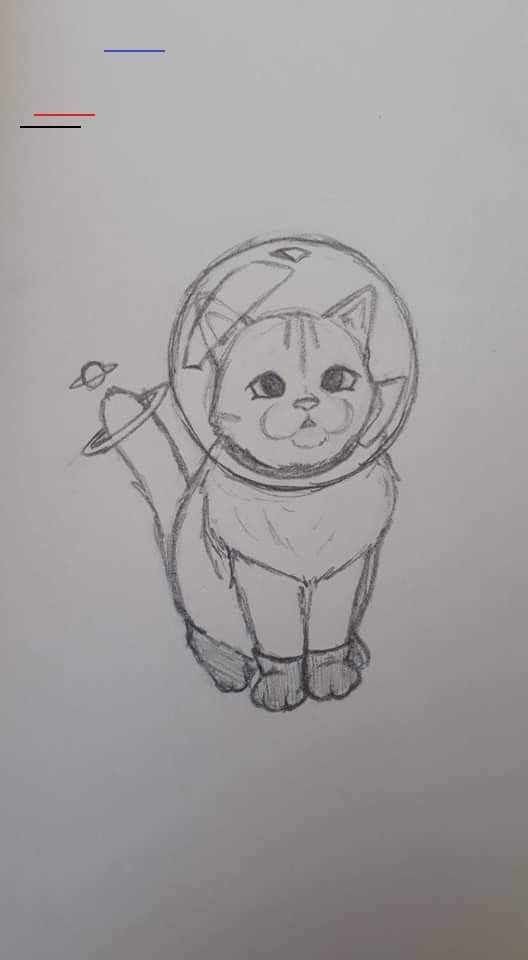 8 secrets pour apprendre à dessiner des chats une pro 12 8 secrets pour apprendre à dessiner des chats une pro 12