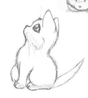 8 secrets pour apprendre à dessiner des chats une pro 13 8 secrets pour apprendre à dessiner des chats une pro 13