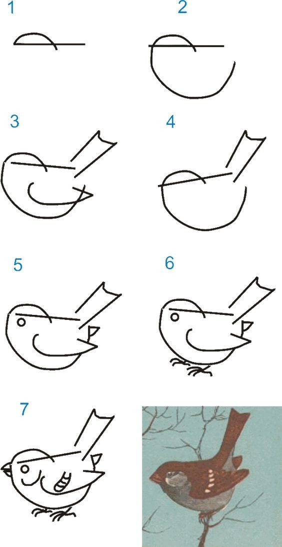 Comment dessiner - dessin étape par étape pour les enfants 7