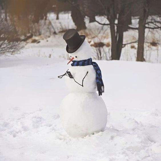 39 idées de bonhommes de neige à faire soi-même 7