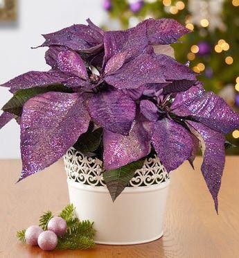 19 Décorations de Noël dans les tons violets 3