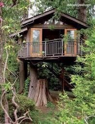 60 cabanes dans les arbres pour vivre vos rêves d'enfance 60 60 cabanes dans les arbres pour vivre vos rêves d'enfance 60