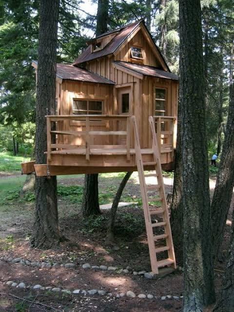 60 cabanes dans les arbres pour vivre vos rêves d'enfance 3 60 cabanes dans les arbres pour vivre vos rêves d'enfance 3