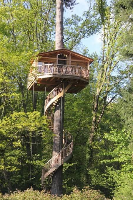 60 cabanes dans les arbres pour vivre vos rêves d'enfance 5