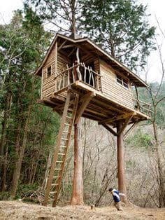 60 cabanes dans les arbres pour vivre vos rêves d'enfance 6