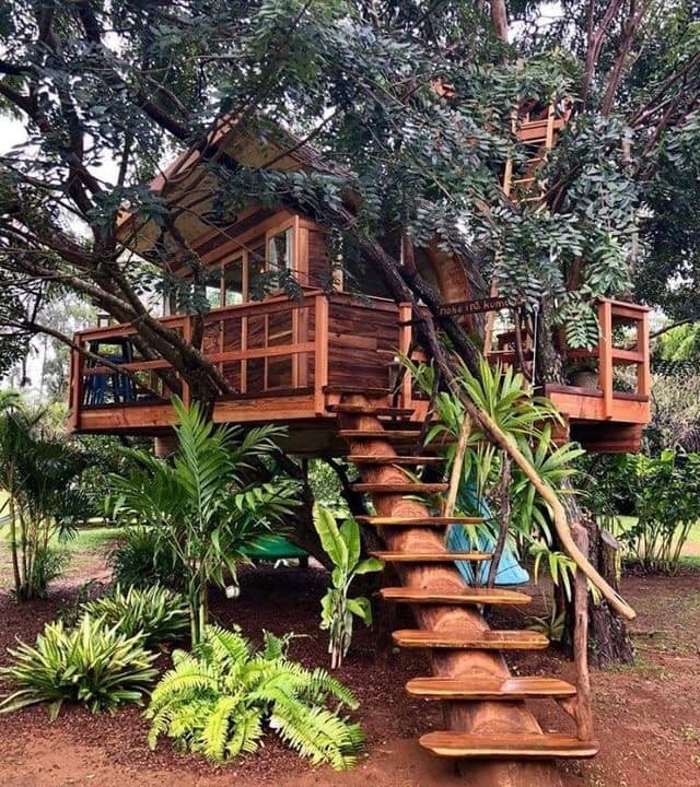 60 cabanes dans les arbres pour vivre vos rêves d'enfance 7 60 cabanes dans les arbres pour vivre vos rêves d'enfance 7