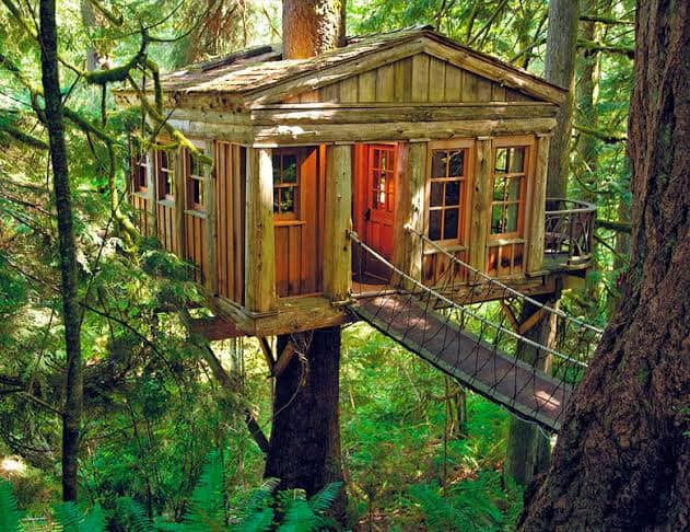 60 cabanes dans les arbres pour vivre vos rêves d'enfance 10