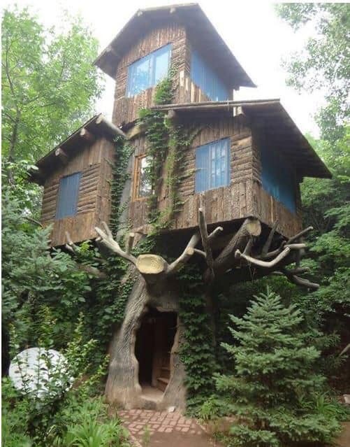 60 cabanes dans les arbres pour vivre vos rêves d'enfance 12 60 cabanes dans les arbres pour vivre vos rêves d'enfance 12
