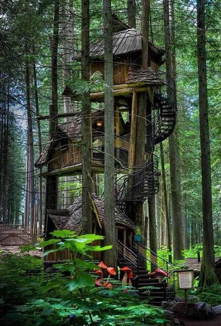 60 cabanes dans les arbres pour vivre vos rêves d'enfance 17 60 cabanes dans les arbres pour vivre vos rêves d'enfance 17