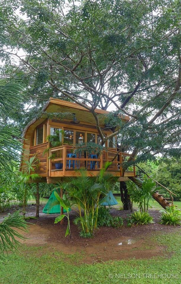 60 cabanes dans les arbres pour vivre vos rêves d'enfance 20