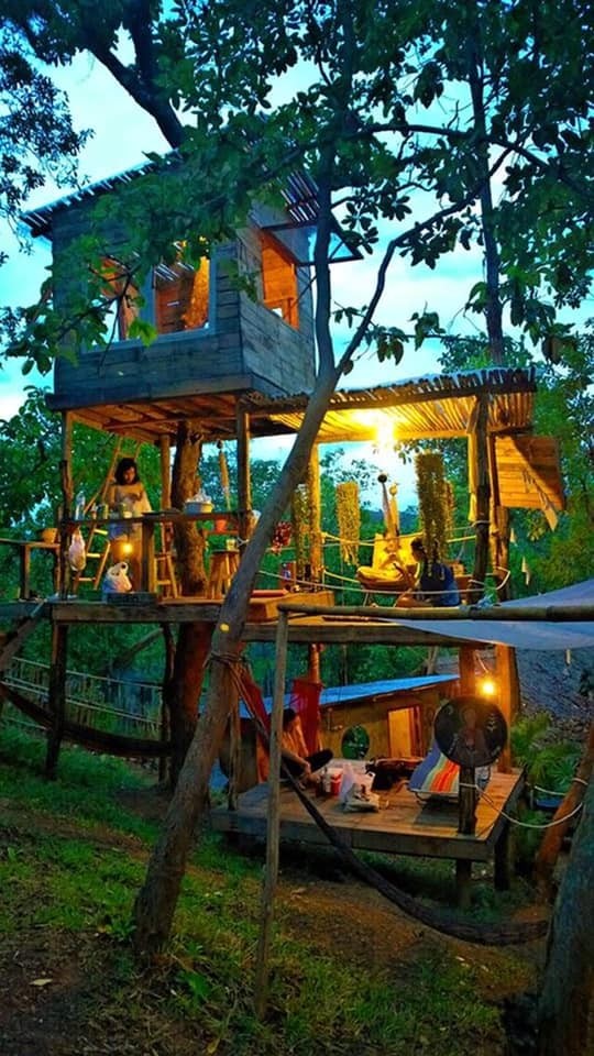 60 cabanes dans les arbres pour vivre vos rêves d'enfance 22