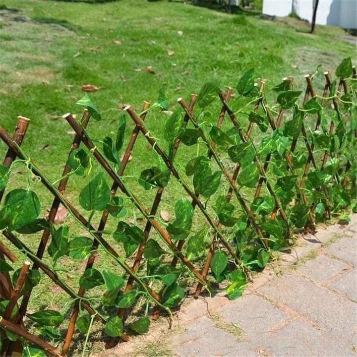 14 idées de clôtures naturelles 12