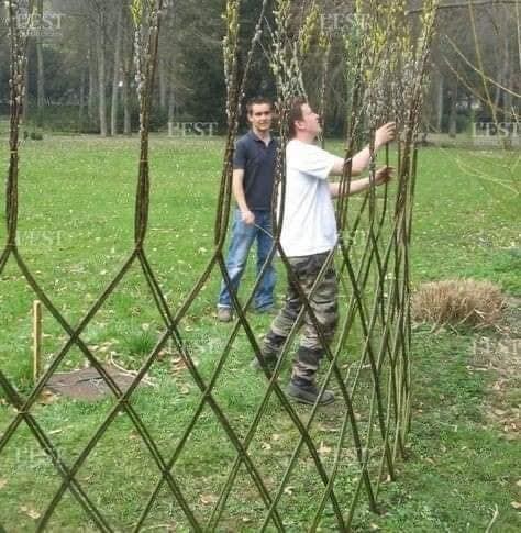 14 idées de clôtures naturelles 13