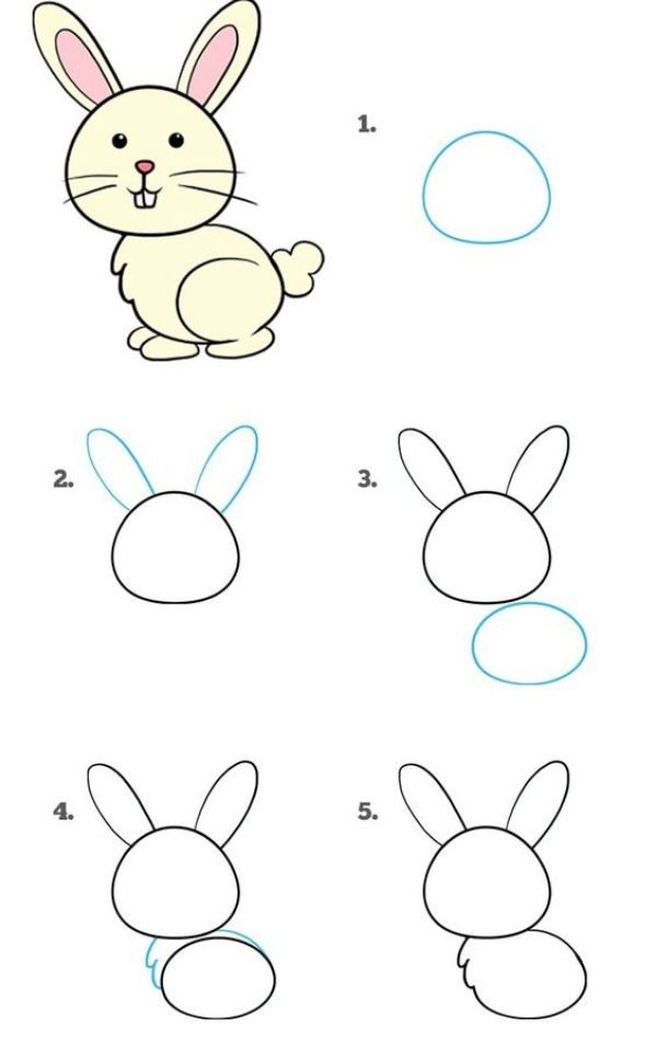 15 animaux faciles à dessiner avec des tutoriels étape par étape 9