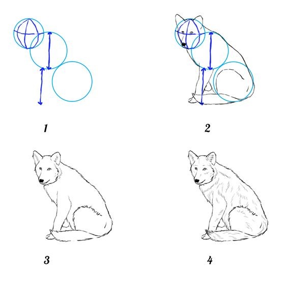 50 idées de dessins d'animaux faciles à faire 2
