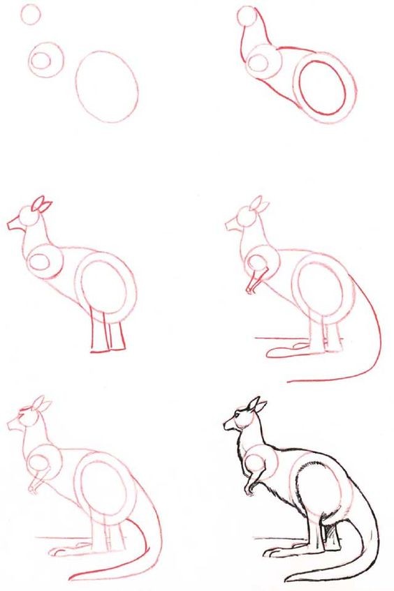 50 idées de dessins d'animaux faciles à faire 4