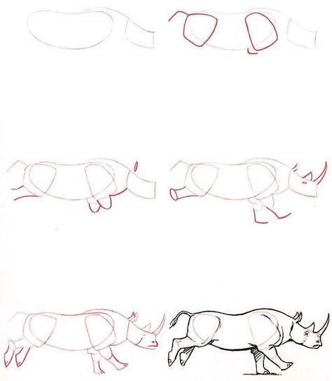50 idées de dessins d'animaux faciles à faire 6