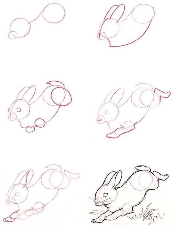 50 idées de dessins d'animaux faciles à faire 8