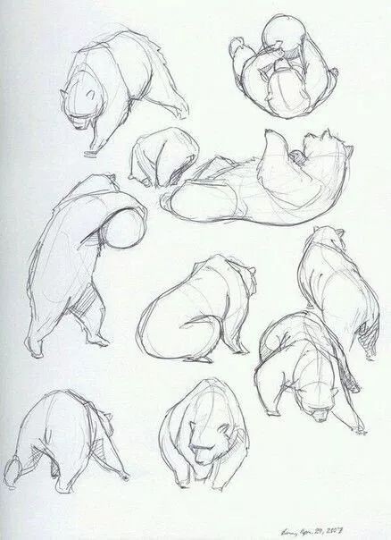 50 idées de dessins d'animaux faciles à faire 11