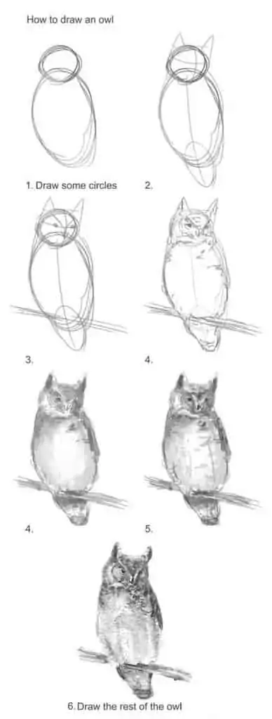 50 idées de dessins d'animaux faciles à faire 19 50 idées de dessins d'animaux faciles à faire 19