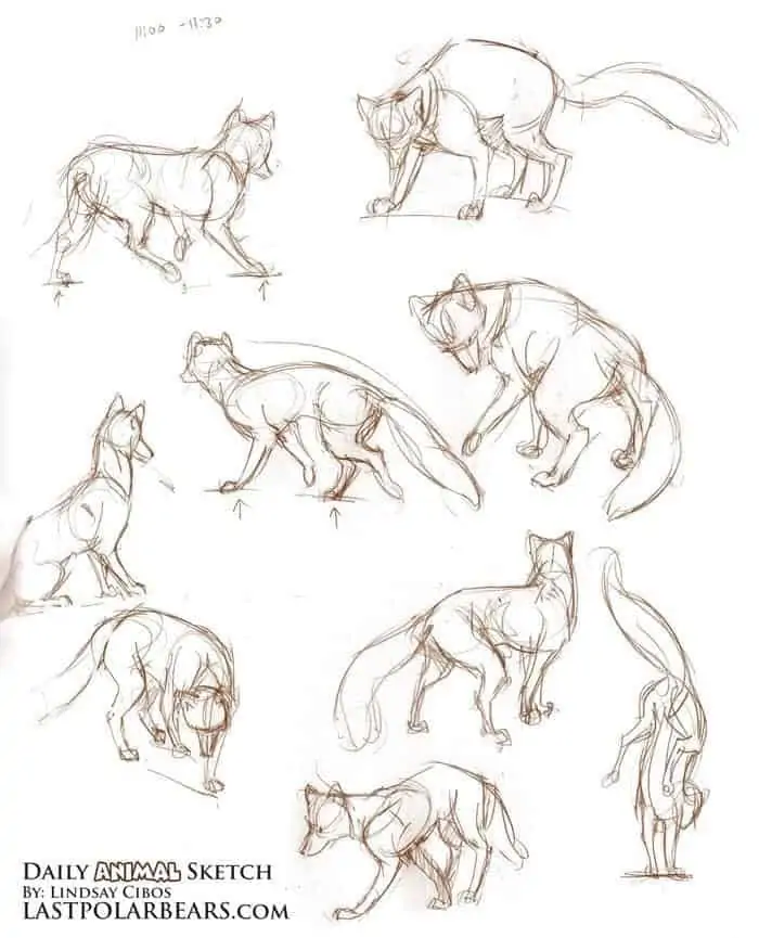 50 idées de dessins d'animaux faciles à faire 20