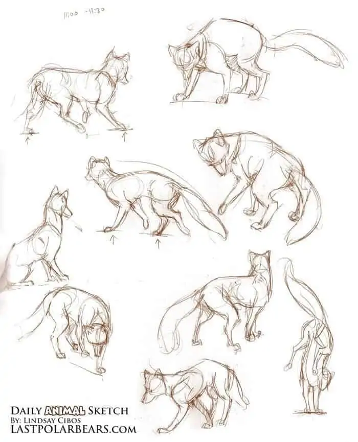 50 idées de dessins d'animaux faciles à faire 20 50 idées de dessins d'animaux faciles à faire 20