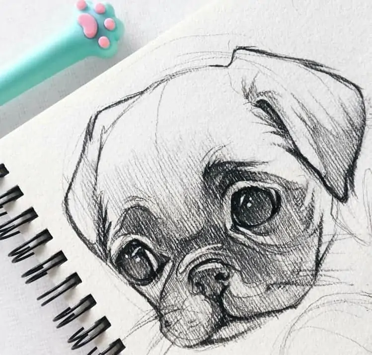 50 idées de dessins d'animaux faciles à faire 22