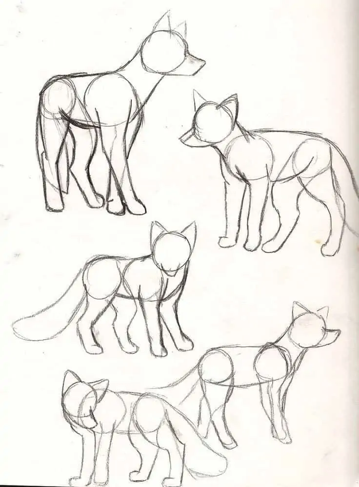 50 idées de dessins d'animaux faciles à faire 25 50 idées de dessins d'animaux faciles à faire 25