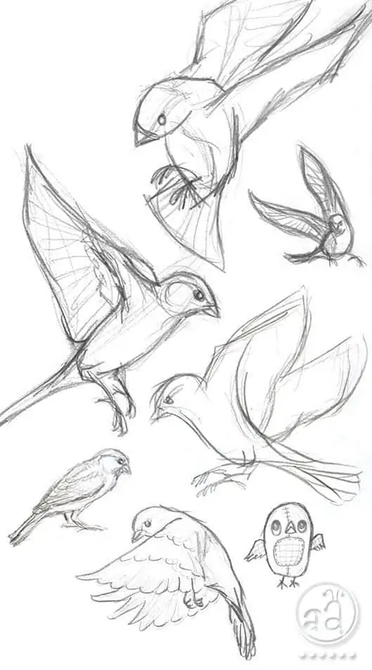 50 idées de dessins d'animaux faciles à faire 26 50 idées de dessins d'animaux faciles à faire 26