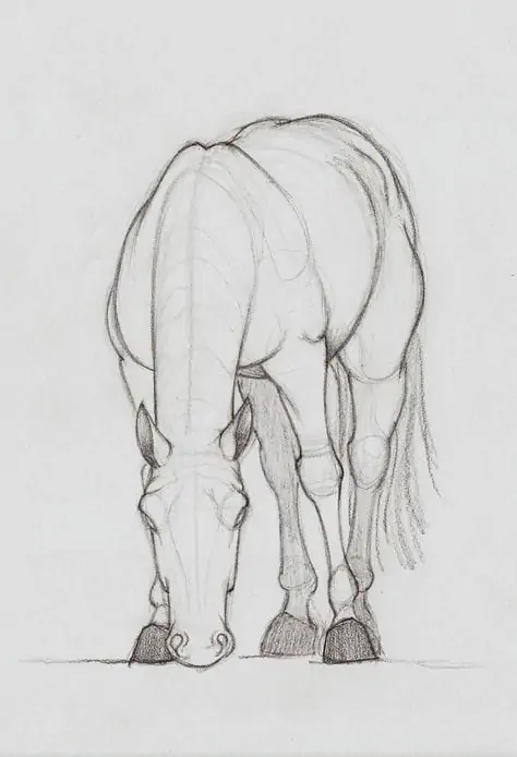 50 idées de dessins d'animaux faciles à faire 28 50 idées de dessins d'animaux faciles à faire 28