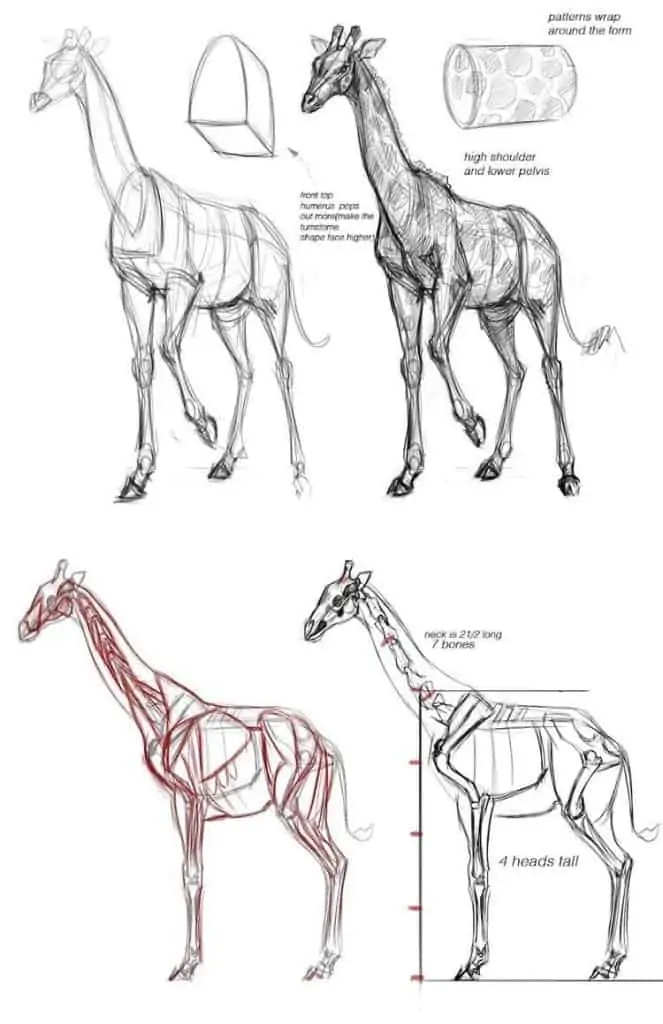 50 idées de dessins d'animaux faciles à faire 29 50 idées de dessins d'animaux faciles à faire 29