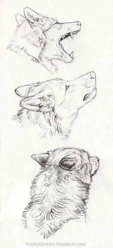 50 idées de dessins d'animaux faciles à faire 30 50 idées de dessins d'animaux faciles à faire 30
