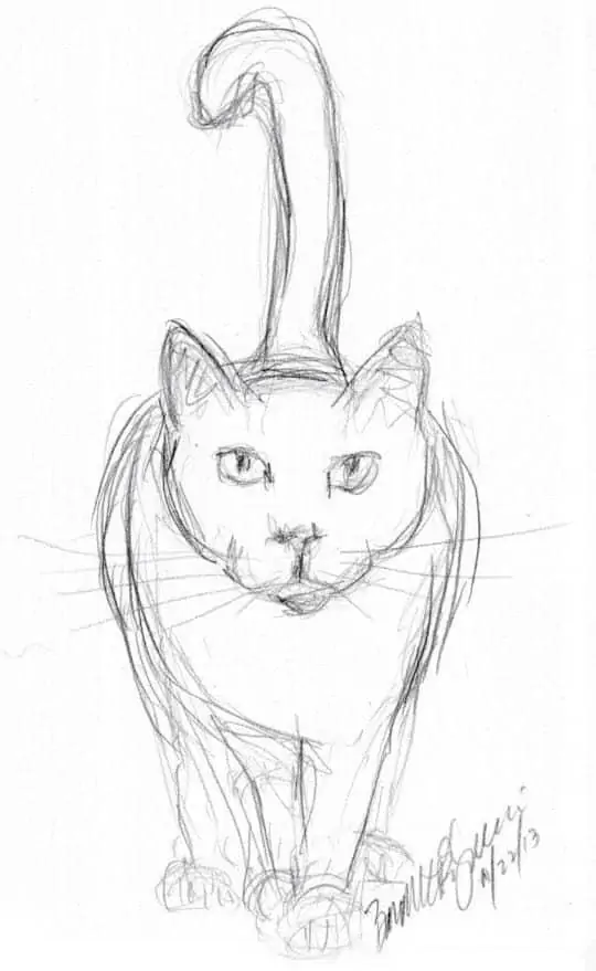 50 idées de dessins d'animaux faciles à faire 33 50 idées de dessins d'animaux faciles à faire 33