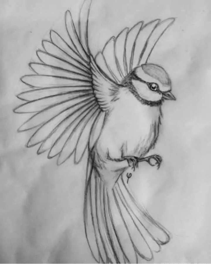 50 idées de dessins d'animaux faciles à faire 34 50 idées de dessins d'animaux faciles à faire 34